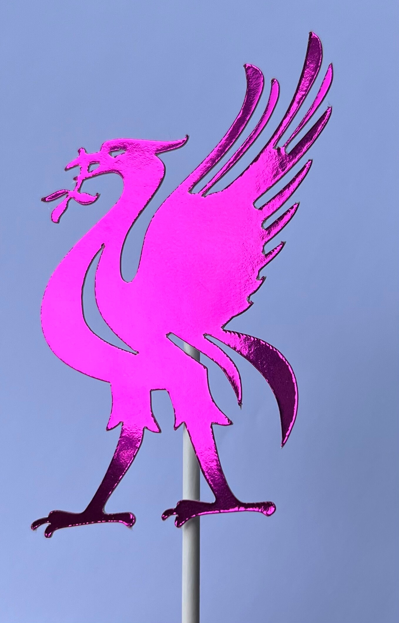 10 X Liverpool Cupcake Toppers Football Cupcake Toppers Etsy