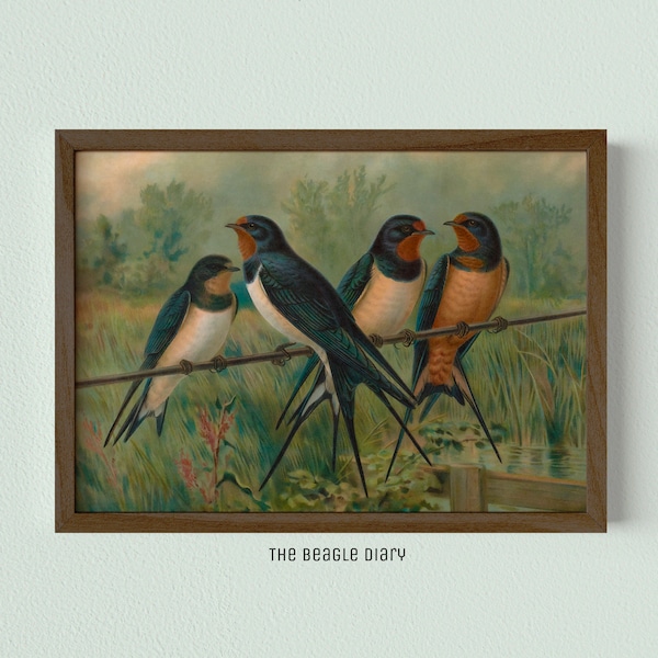 Swallows vintage painting/ Cottage large wall decor/ Printable art/ Digital download