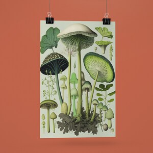 Mushroom Wall Art, Mushroom PNG, Lime Green, Mushroom Botanical Wall Digital Art Print, Vintage Mushroom Print