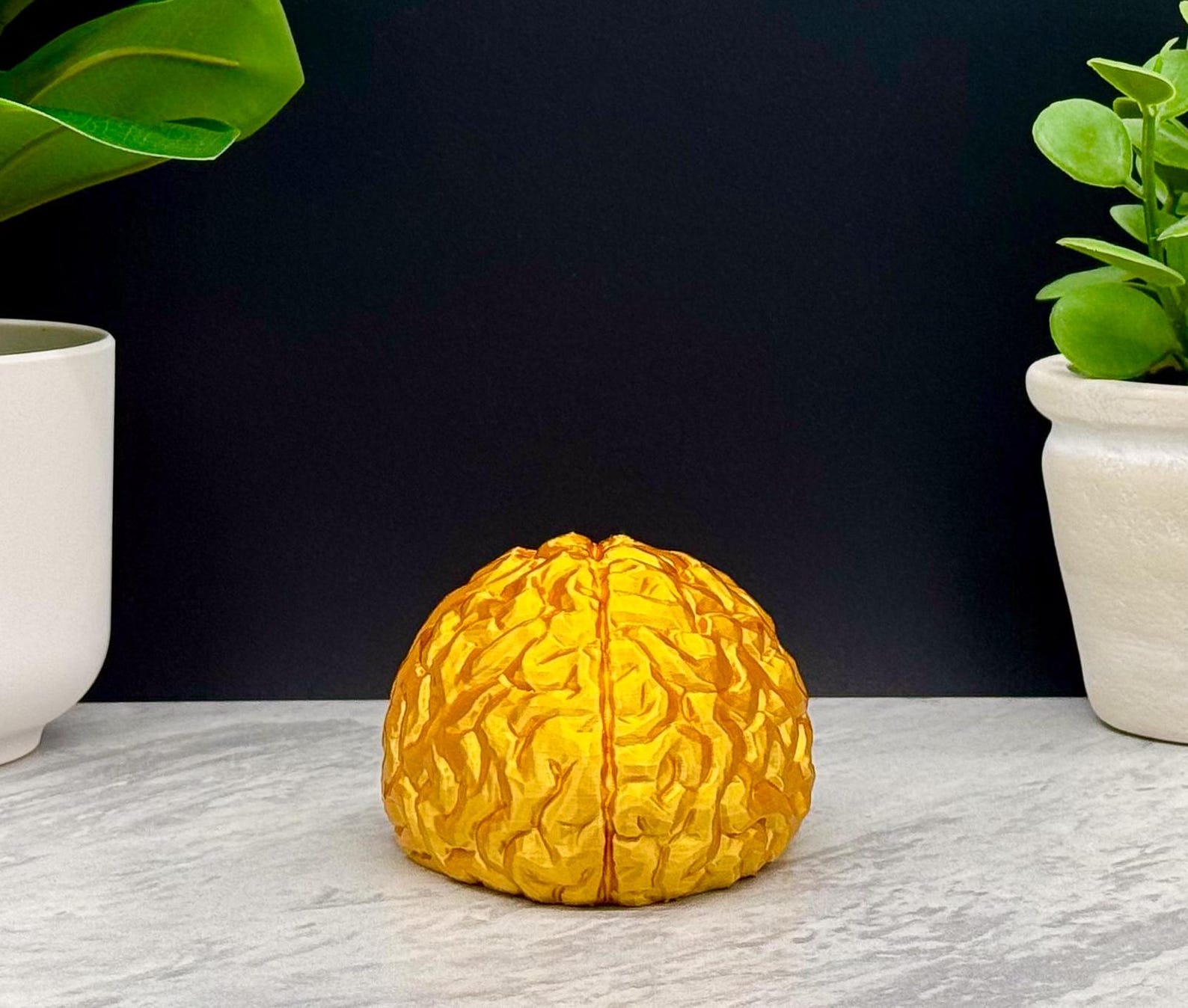 Brain Model, Brain Statue, Brain Decoration for Home, School, Work ...