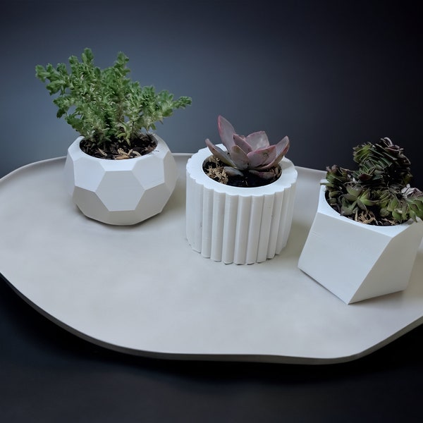 Modern Succulent Planter Pots, Abstract Mini Succulent Planter Pots, Cactus Planter
