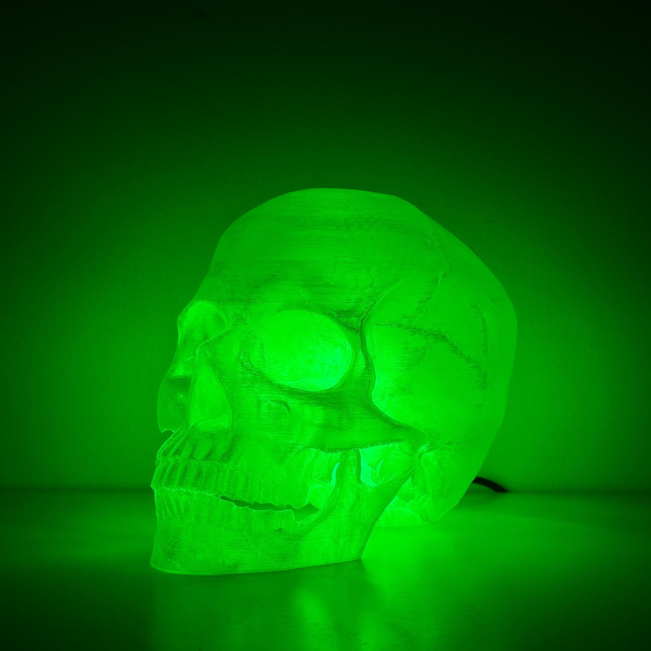 SASQUATCHFABRIX × HEAVOGON SKULL LIGHT Human Skull Light - Etsy