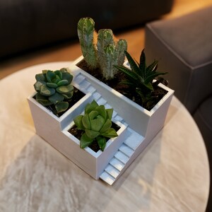 May include: White ceramic planter with a stepped design, featuring four succulents and cacti. The planter is on a light brown wooden table.