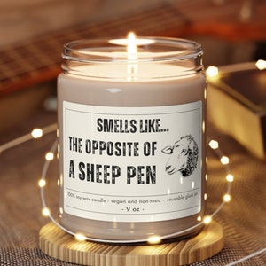 Funny Sheep Candle, Sheep Gifts, Sheep Farmer, Wool Farmer, Merino Sheep, Suffolk Sheep, Hampshire Down, Rambouillet, Katahdin sheep