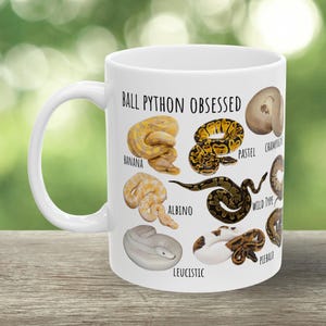 May include: White ceramic mug with the text "BALL PYTHON OBSESSED" and illustrations of various ball python morphs, including Banana, Pastel, and Albino. The mug has a curved handle and is set against a blurred green background.