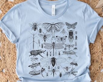 May include: A light blue t-shirt with a vintage illustration of various insects, including butterflies, beetles, and dragonflies.