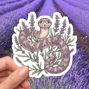 Op de afbeelding: Een sticker met een gestileerde illustratie van een slang die zich tussen lavendeltakken wringt. De slang heeft een paars en bruin lichaam met een patroon en een gespleten tong. De achtergrond toont rijen lavendelplanten.