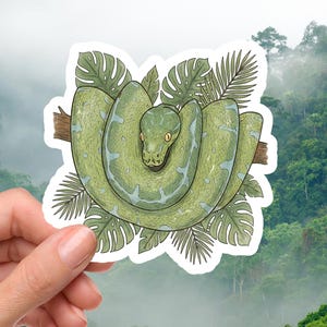 Pegatina de pitón arborícola verde, pegatina de serpiente, lindo regalo de serpiente, pitón arborícola verde, regalo para amantes de los reptiles, regalo para amantes de las pitones, linda pegatina de animal