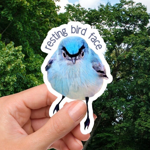 Blue-Gray Gnatcatcher Vinyl Sticker, Angry Gnatcatcher, Angry Bird, Funny Bird Sticker, Birding Gift, Angry Bird Meme, Resting Bird Face