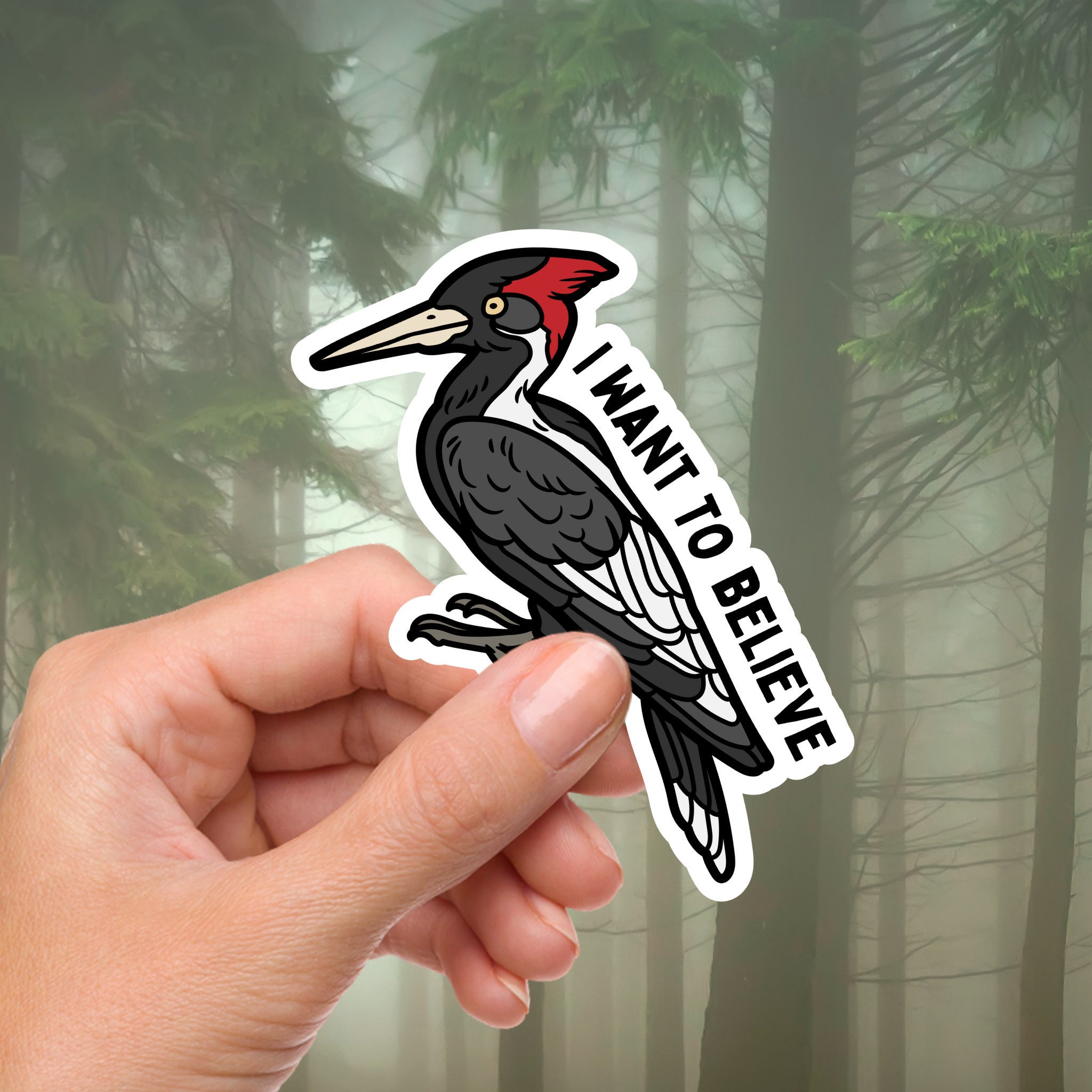 Exticnt Sticker Ivory-billed Woodpecker Sticker, Ivory-billed Woodpecker, Extinct ...