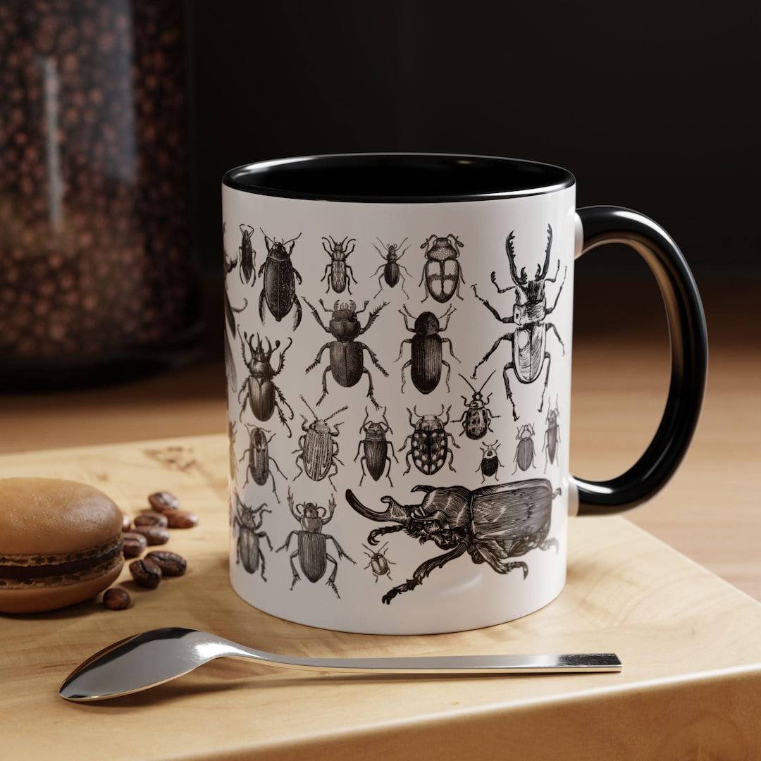 Beetle Mug, Pinned Beetle, Insect Specimen Mug, Bug Lover Mug ...