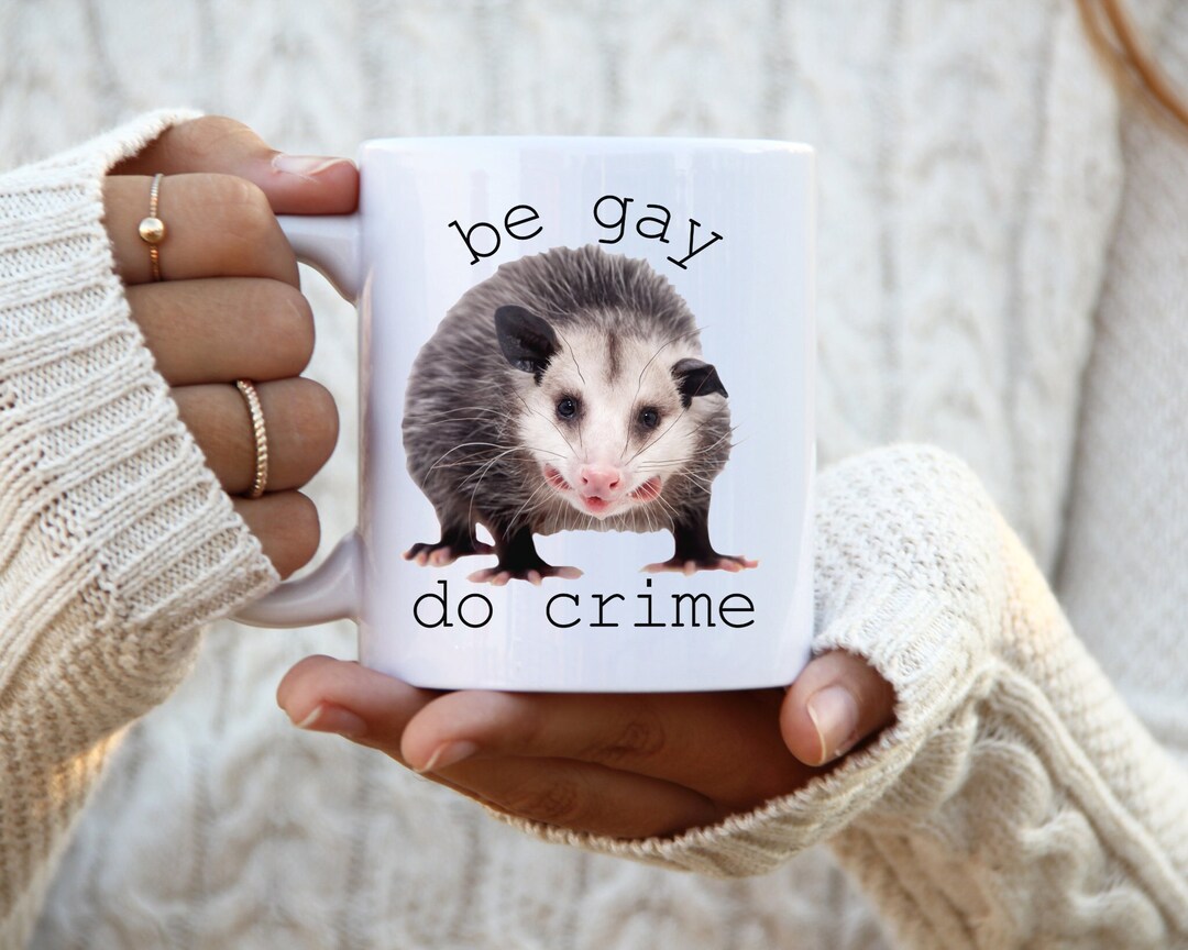 Possum Mug, Be Gay Do Crime, Possum Gifts, Virginia Opossum, Opossum ...