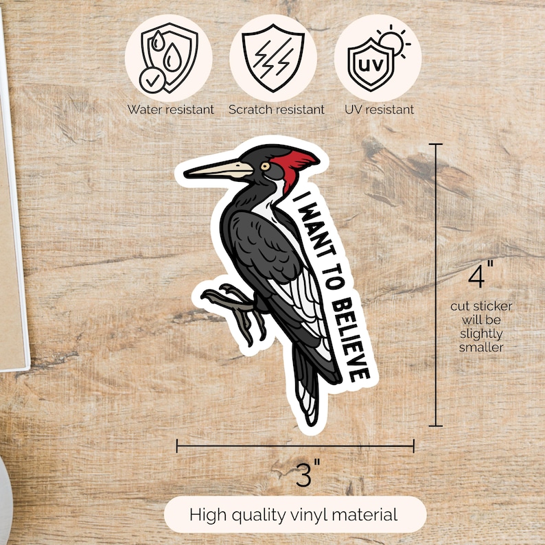 Exticnt Sticker Ivory-billed Woodpecker Sticker, Ivory-billed Woodpecker, Extinct ...