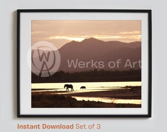 African Sunset Decor | 3 Instant Download Digital Photos