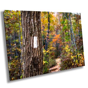 Appalachian Trail Blaze, montagnes, forêt, Blue Ridge, Géorgie, automne, automne, arbre, impression sur toile, métal, art mural acrylique
