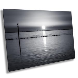 Gulf Coast Sun Setting, Canvas Print, Florida Beach, Tampa, St Petersburg, Metal, Acrylic Wall Art, B&W, Black White, BW, Heron, Islander