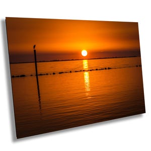 Tramonto sulla costa del Golfo, stampa su tela, spiaggia della Florida, Tampa, St. Petersburg, metallo, arte murale in acrilico, Amelia Islander, uccello, airone