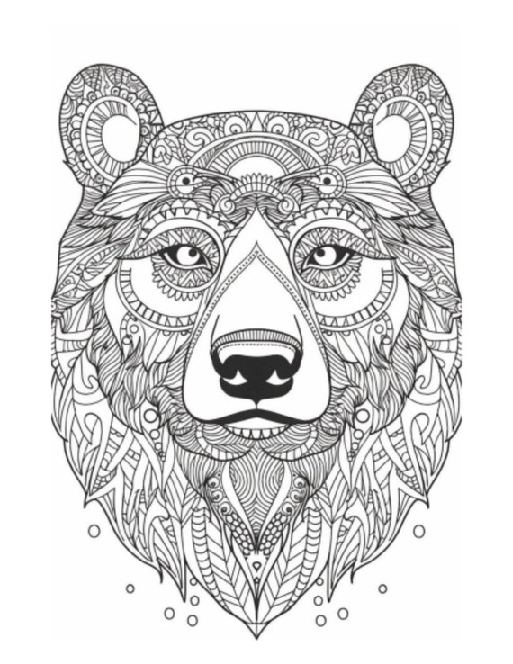 Adult Coloring Book: Animals: Advanced Realistic Animal Coloring