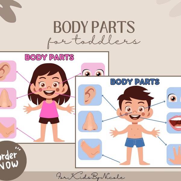 Body Parts Matching For Toddlers, Body Parts Activity, Body Parts Worksheet, Body Parts, Kids Activities, Learning for Toddlers