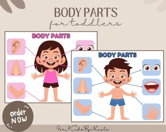 Body Parts Matching For Toddlers, Body Parts Activity, Body Parts Worksheet, Body Parts, Kids Activities, Learning for Toddlers