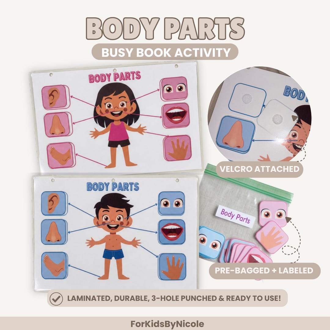 Body Parts Matching Activity | Laminated Toddler Learning Binder ...