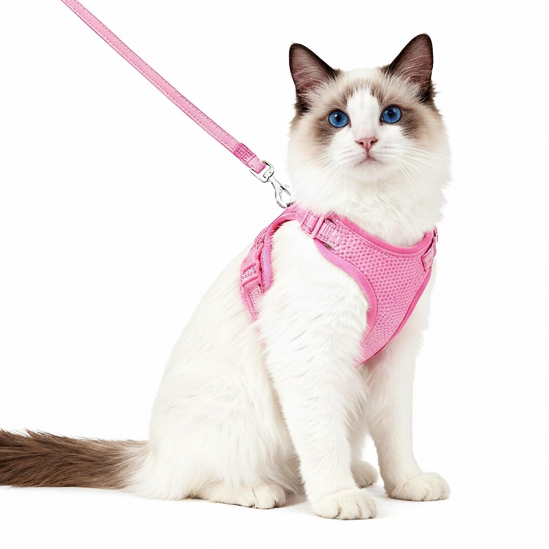 Escape-proof Cat Harness and Leash Set | Reflective, Breathable Vest - Etsy
