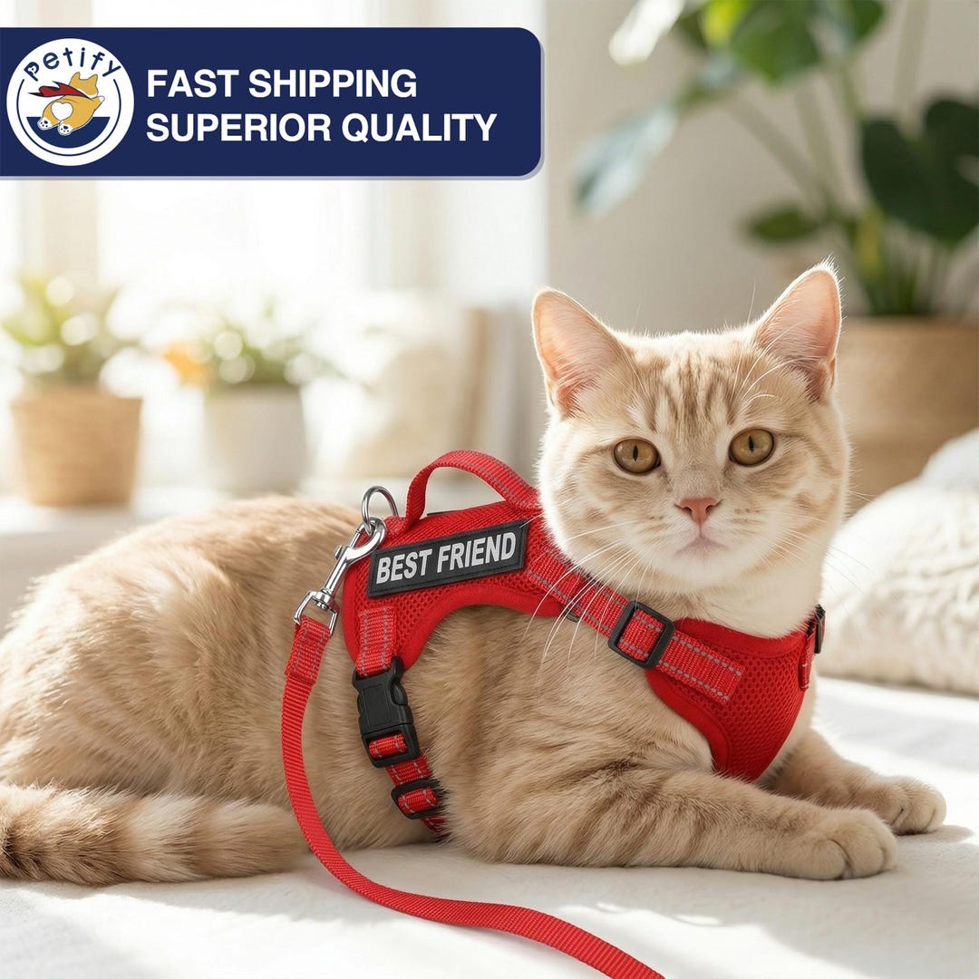 Escape Proof Reflective Cat Harness and Leash Set Soft Breathable Mesh ...
