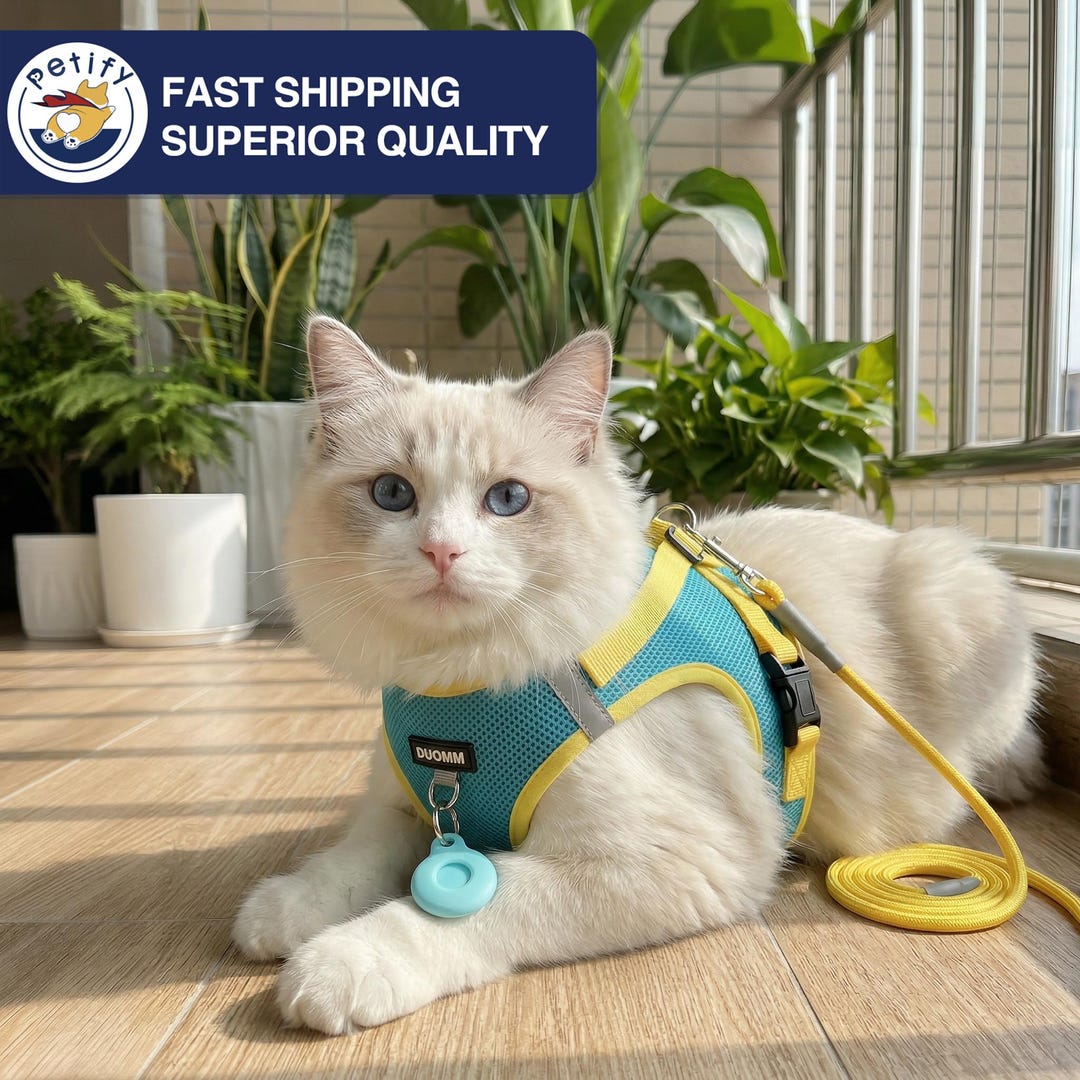 Escape Proof Reflective Cat Harness With Tracker Pocket Soft Breathable ...