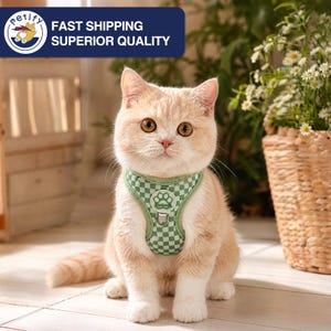 Könnte beinhalten: Eine hellorange Katze mit einem grün-weiß karierten Geschirr mit Pfotenabdruck-Design. Die Katze sitzt auf einem gefliesten Boden. Das Bild enthält den Text "FAST SHIPPING SUPERIOR QUALITY".