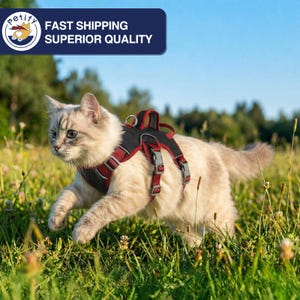 May include: A light-colored cat wearing a black and red harness runs through tall green grass. The harness has adjustable straps and a metal ring. The background features a blue sky and more green foliage.