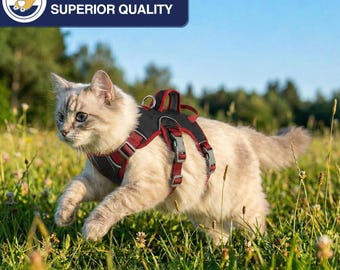 Escape Proof Reflective Cat Harness Soft Padded Breathable Mesh Pet Vest for Small Cats Comfortable Outdoor Walking Suit (Not Leash)