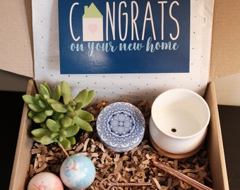 House Warming Gifts, Congrats New Home Gift, Succulent Gift Box, New Home Card, Happy New Home, Home Sweet Home, New Home Gift,Free shipping