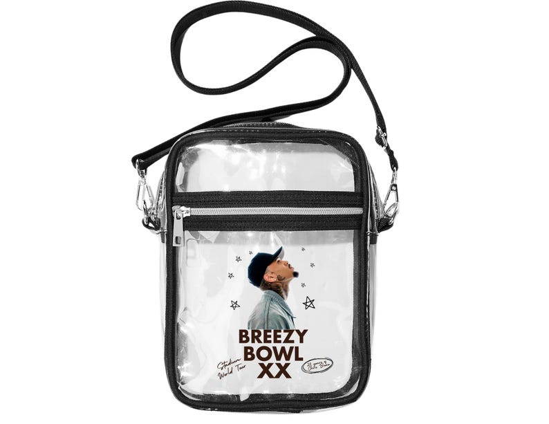 20th Anniversary Purse, Stadium Bag, Clear Handbag, Concert Crossbody