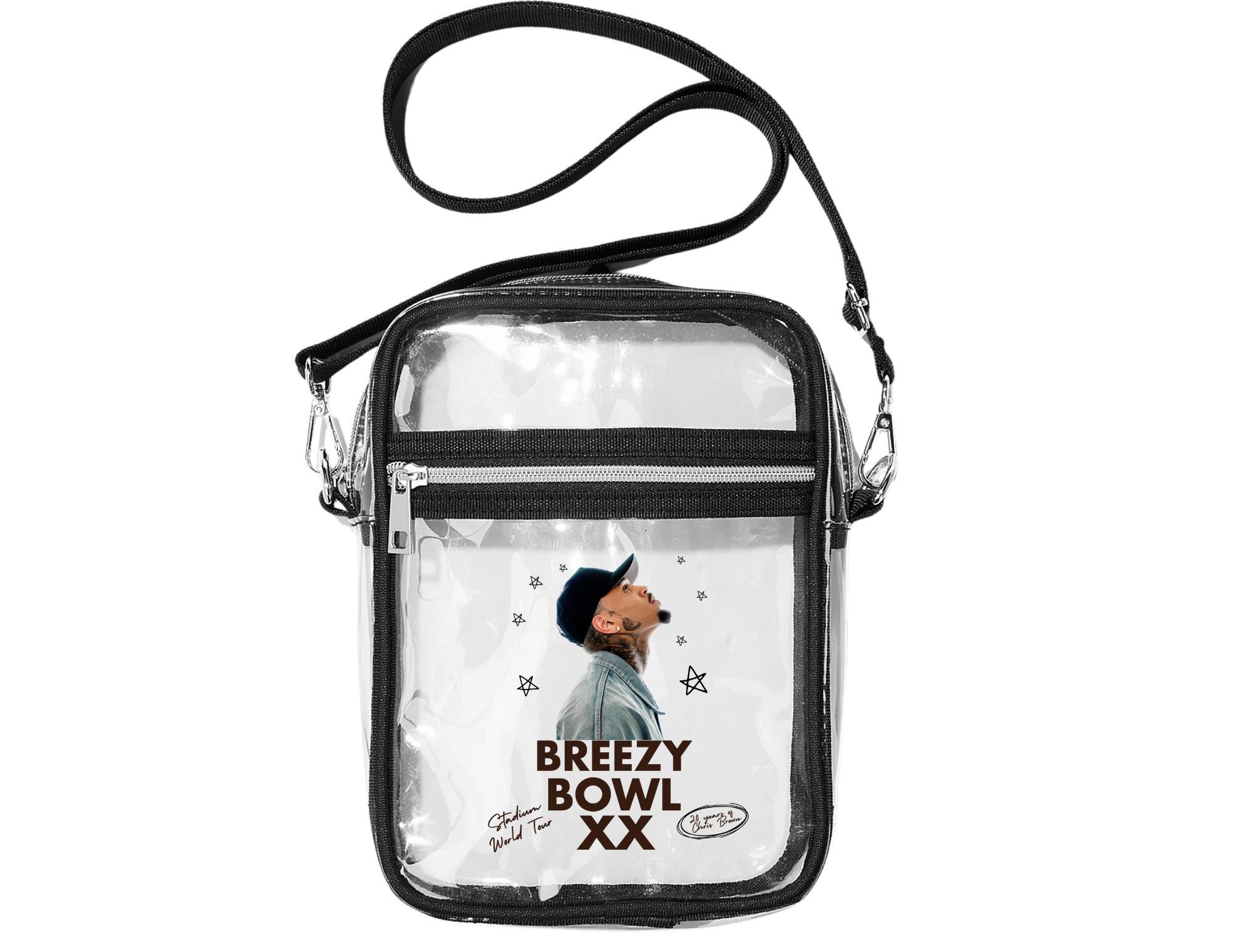 20th Anniversary Purse, Stadium Bag, Clear Handbag, Concert Crossbody