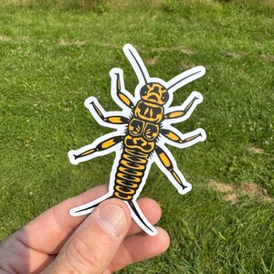 May include: A sticker featuring a detailed illustration of an earwig insect. The earwig has a yellow and black segmented body, with yellow legs and antennae. The sticker is held against a backdrop of green grass.