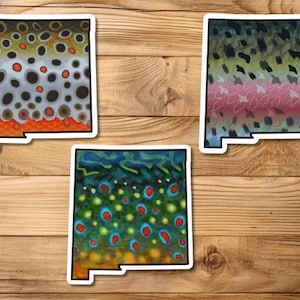 New Mexico Trout Fly Fishing 3-Sticker Set, Bumper Stickers, Great for Mug Truck, Laptop, Cooler, Brook Trout, Rainbow Trout, Brown Trout