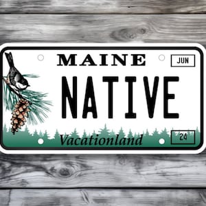 May include: A white and green Maine license plate with the word "NATIVE" in black text. The plate also features a small bird and pine tree illustration, the words "Vacationland" and "Maine", and the month "JUN" and number "24" in small boxes.