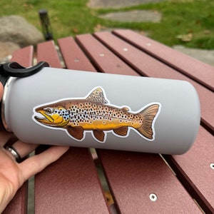 Brown Trout Fly Fishing Sticker, Great Gift For Angler, Waterproof UV Protected Vinyl, Perfect For Laptop, Tumbler/Mug or Bumper Sticker