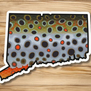Connecticut Brown Trout Fly Fishing Bumper Sticker, Waterproof Vinyl, Great Gift for Angler, Fits Car Truck Boat, Brown Trout 2 Sizes Avail.