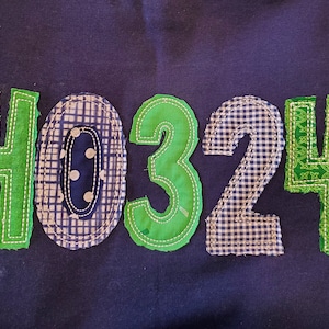 Zip Code or Area Code Fabric Applique Shirt
