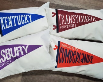 College pennant pillow
