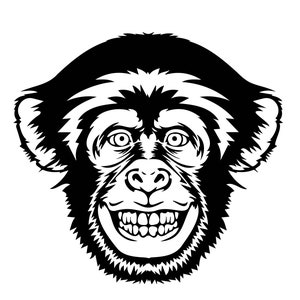 Chimpanzee, Chimpanzee head instant digital download - Ai-EPS-PNG-SVG