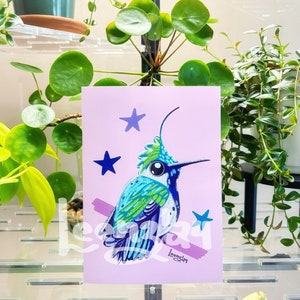 Green-crowned plovercrest art / bird sticker / funny birds / hummingbird drawing / hummingbird sticker / wildlife art / hummingbird art