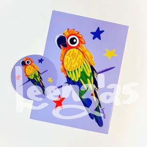 Sun conure art / parrot sticker / bird sticker / funny birds / waterbottle sticker / laptop decal / bird gifts / parrots / parrot drawing