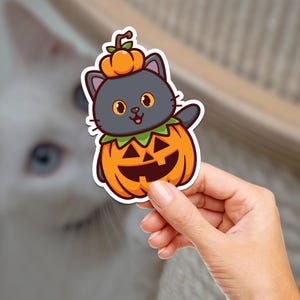May include: A black cat wearing a jack-o'-lantern costume with a friendly smile. The cat is wearing a pumpkin hat and has a pumpkin body with a carved face.