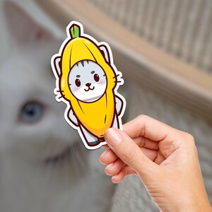 Banana Kitty / Katze Obst / Katze / Hydroflask Aufkleber / Journaling / Scrapbooking / Vinyl Aufkleber / Laptop / Telefon / Wasserdicht / bezaubernd