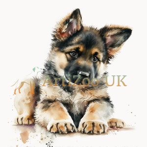May include: A watercolor painting of a German Shepherd puppy lying on its belly with its paws outstretched. The puppy has brown and black fur and is looking at the viewer with big, brown eyes.