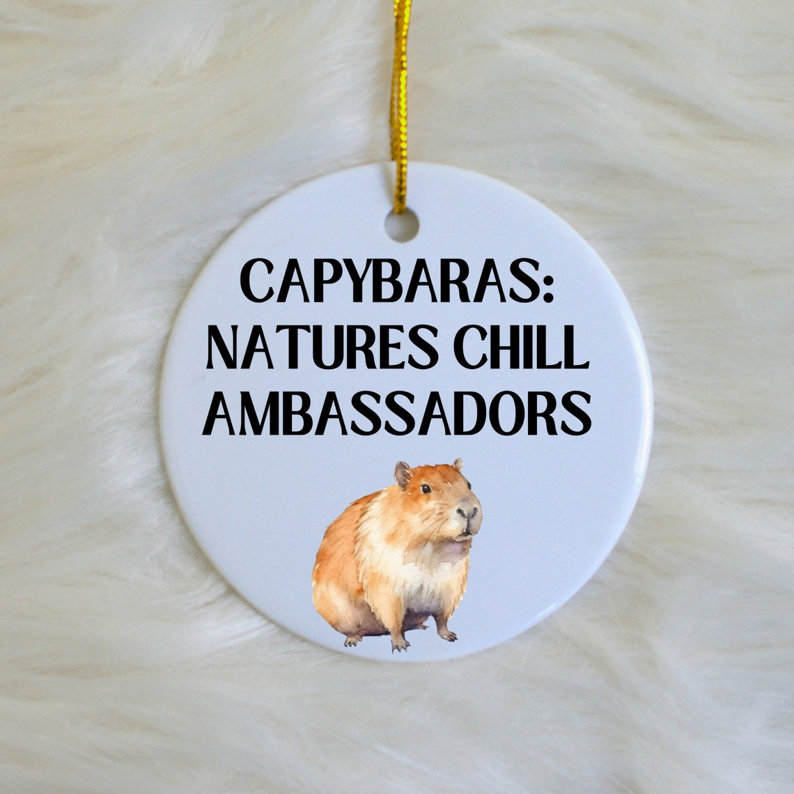 Capybara Funny Ornament for Capybara Enthusiast Bauble for Capybara ...