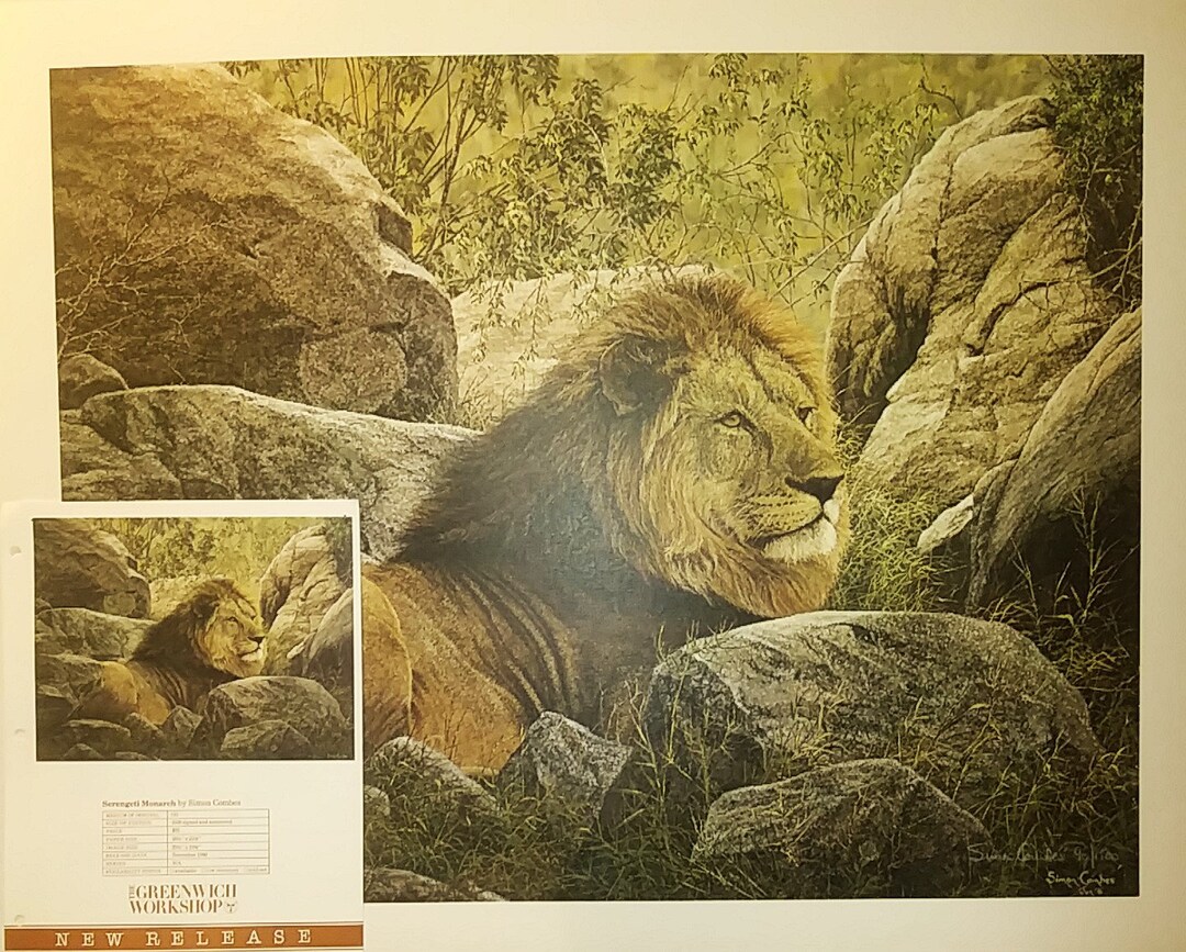 Simon Combes Lion Print, Serengeti Monarch, Signed Limited Edition #90/ ...