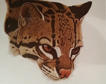 Margi Adey Ocelot Print, Signed & Numbered Limited Edition, 1975
